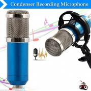 Pro Audio Dynamic Condenser Sound Recording Microphone Mic Studio w/ Shock Mount
